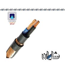 کابل سازمانی 10+10*1 NYCY البرز الکتریک نور