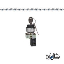 کلید فرمان یکطرفه سوئیچ دار چینت مدل NP2-BG21