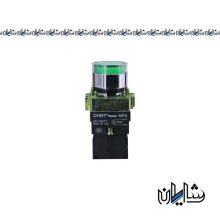 شستی استارت چراغدار سبز چینت مدل NP2-BW3361