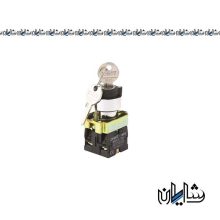 کلید فرمان دوطرفه سوئیچ دار چینت مدل NP2-BG33
