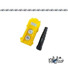 شستی جرثقیل دو فرمان چینت مدل NP3-1