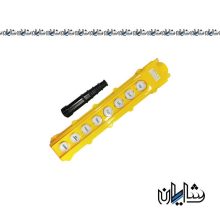 شستی جرثقیل هشت فرمان چینت مدل NP3-4